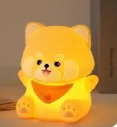 small raccoon Night Light