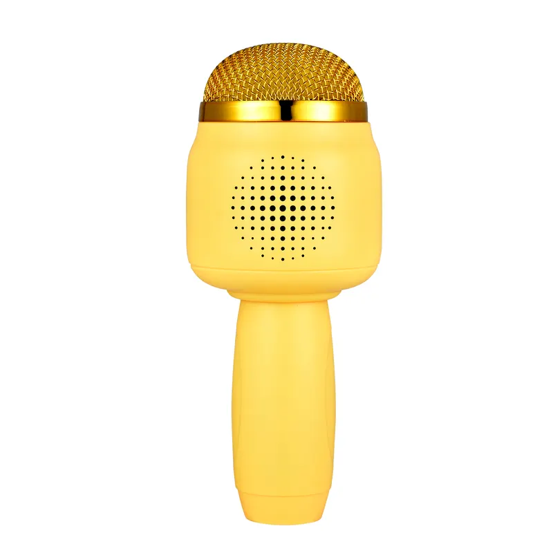 Cool & Cute Karaoke Mic PLUS
